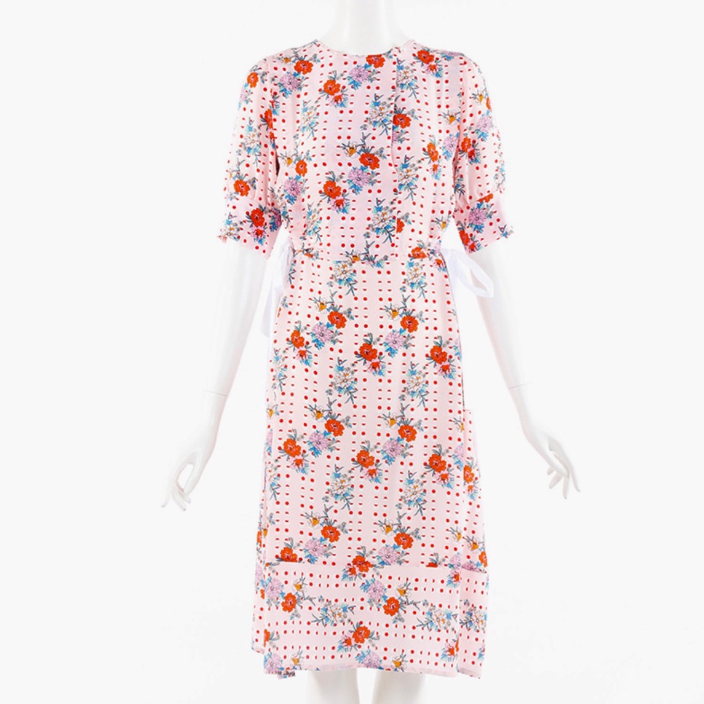 Snow Xue Gao Silk Print Dress
